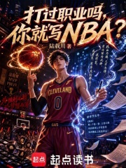打过职业吗,你就写NBA?
